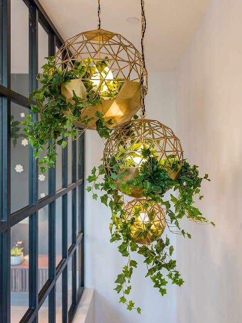 Fantastic Ways to Hang Plants on the Wall like Pros 7