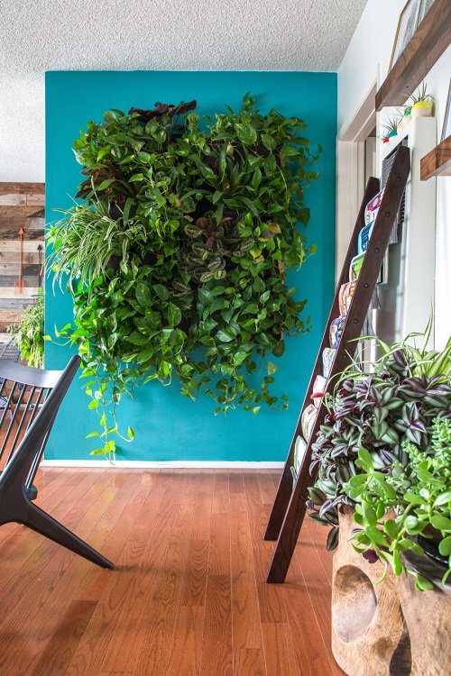 Fantastic Ways to Hang Plants on the Wall like Pros 11