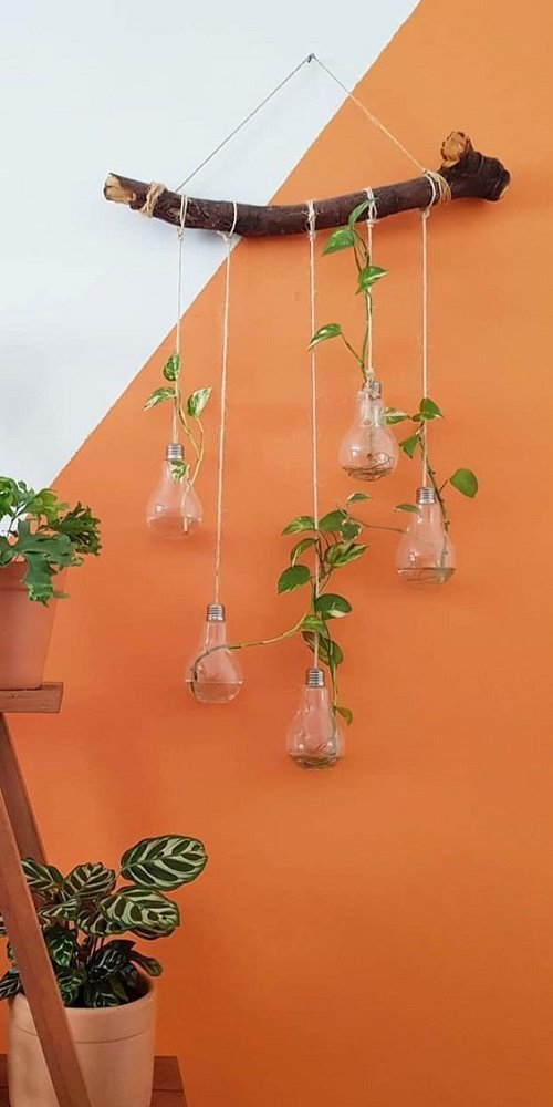 Fantastic Ways to Hang Plants on the Wall like Pros 10