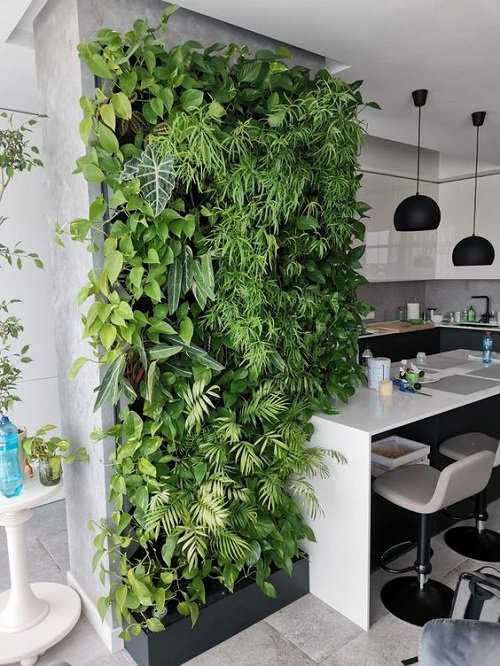Fantastic Ways to Hang Plants on the Wall like Pros 16