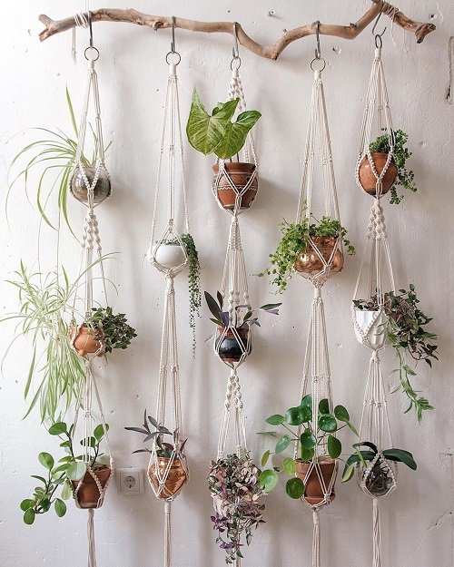 Fantastic Ways to Hang Plants on the Wall like Pros 2