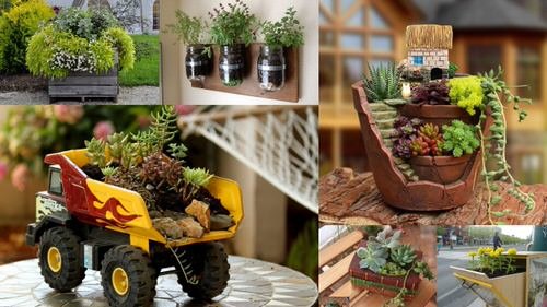 Best Places to Find Free Gardening Containers
