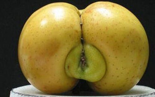 Fruits and Vegetables That Look Like Something Else 10
